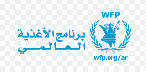 الأمم المتحدة تعلن عن وصول سفينة محملة بالوقود إلى اليمن