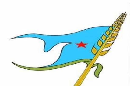 الحزب الاشتراكي يحدد رؤيته لحل الأزمة من خلال عدول الرئيس والحكومة عن الاستقالة ( نص الرؤية )