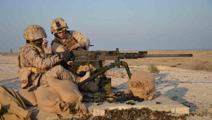 الامارات تعلن مقتل احد جنودها في اليمن 