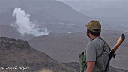 مقتل 50 من مليشيات الحوثي وصالح في جبن ودمت وأسر 8 آخرين