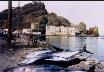 شاهد عيان يروي ل "مندب برس" تفاصيل غرق الشاب "محمد نصر هاشم" الذي اودت بحياته محاولته لتصوير الأمواج الهائجة في ساحل صيرة