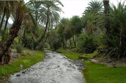 مليشيات الإنقلاب تستبق هزيمة تعز بتأمين خطوط فرعية بين إب والحديدة 