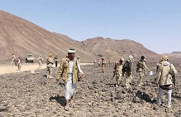 ضبط معمل لصناعة المتفجرات وتجهيزالسيارات المفخخة بعدن ...والمقاومة تواصل تقدمها بصنعاء