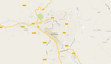 إب: تضارب الأنباء حول مصير المشرف العام للميليشيا في العدين بعد عملية للمقاومة الليلة